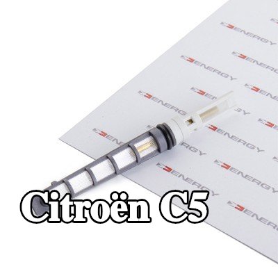 ENERGY فوهة حاقن الوقود، صمام التمدد — Citroën C5