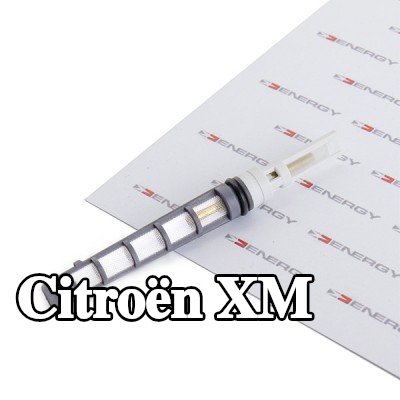 ENERGY فوهة حاقن الوقود، صمام التمدد — Citroën Xm