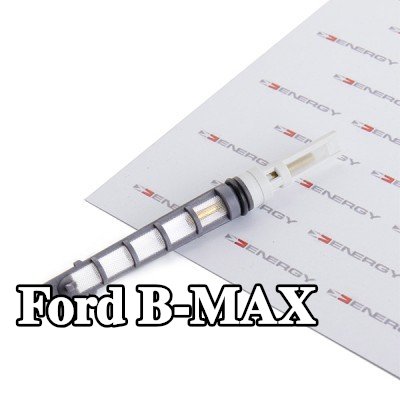 ENERGY فوهة حاقن الوقود، صمام التمدد — Ford B-max