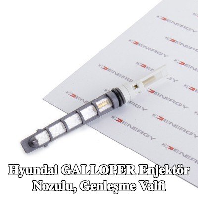ENERGY Enjektör nozulu, genleşme valfi — Hyundai Galloper