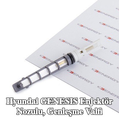 ENERGY Enjektör nozulu, genleşme valfi — Hyundai Genesis