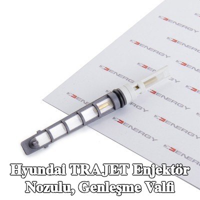 ENERGY Enjektör nozulu, genleşme valfi — Hyundai Trajet