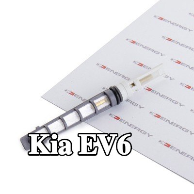 ENERGY فوهة حاقن الوقود، صمام التمدد — Kia Ev6
