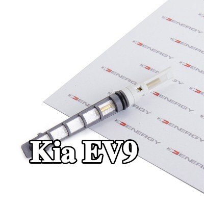 ENERGY فوهة حاقن الوقود، صمام التمدد — Kia Ev9