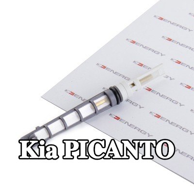 ENERGY فوهة حاقن الوقود، صمام التمدد — Kia Picanto