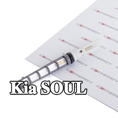 ENERGY فوهة حاقن الوقود، صمام التمدد — Kia Soul