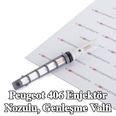 ENERGY Enjektör nozulu, genleşme valfi — Peugeot 406