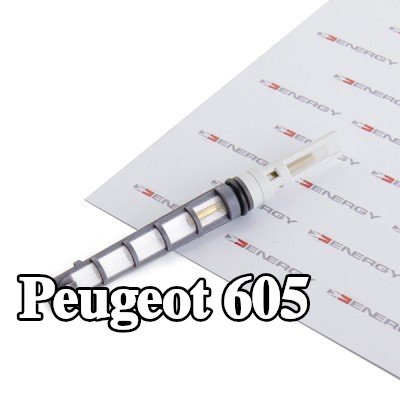 ENERGY فوهة حاقن الوقود، صمام التمدد — Peugeot 605