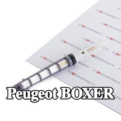 ENERGY فوهة حاقن الوقود، صمام التمدد — Peugeot Boxer