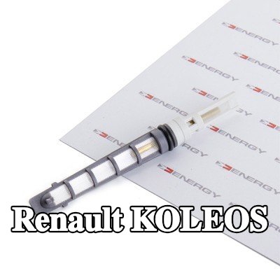 ENERGY فوهة حاقن الوقود، صمام التمدد — Renault Koleos