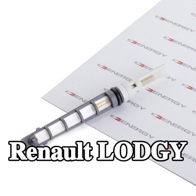 ENERGY فوهة حاقن الوقود، صمام التمدد — Renault Lodgy