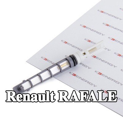 ENERGY فوهة حاقن الوقود، صمام التمدد — Renault Rafale
