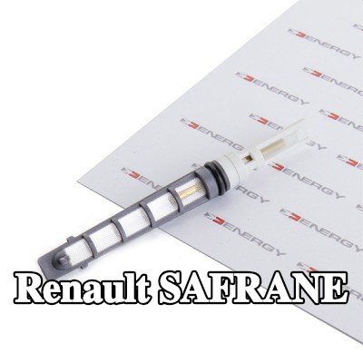 ENERGY فوهة حاقن الوقود، صمام التمدد — Renault Safrane