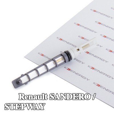 ENERGY فوهة حاقن الوقود، صمام التمدد — Renault Sandero / Stepway
