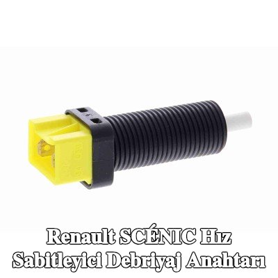 VEMO Hız sabitleyici debriyaj anahtarı Ayak bölmesi — 2002 Renault Scénic