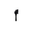 BOSCH Ateşleme bobini — BMW X6 (5)