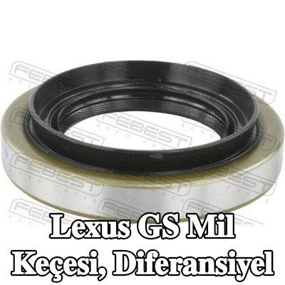FEBEST Mil Contası, diferansiyel Arka Aks — Lexus Gs