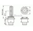 BOSCH Ksenon ampul — Peugeot 607 (2)