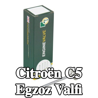 BGA Egzoz valfi — 2002 Citroën C5