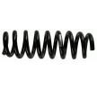 SACHS Helezon yay — BMW 1 Series (4)