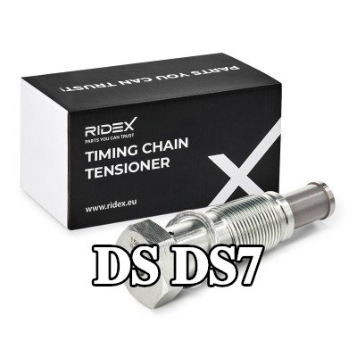 RIDEX مشده سلسلة التوقيت مع حشية/مانع تسرب — DS Ds7