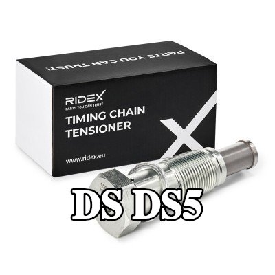 RIDEX مشده سلسلة التوقيت مع حشية/مانع تسرب — DS Ds5