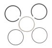 KOLBENSCHMIDT Piston Segman Kiti — Ford Scorpio (3)
