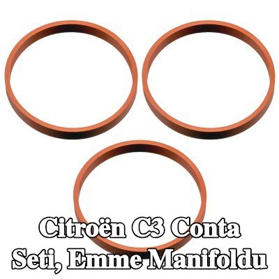 FEBI BILSTEIN Conta Seti, emme manifoldu — Citroën C3