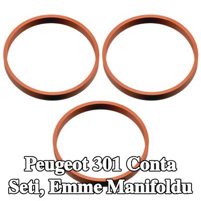 FEBI BILSTEIN Conta Seti, emme manifoldu — Peugeot 301
