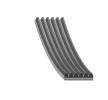 FEBI BILSTEIN Serpantin kayışı 2225mm, Number of ribs: 6 — Toyota Sequoia (1)
