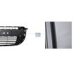 DT Spare Parts Radyatör Izgarası — Renault Kangoo (3)
