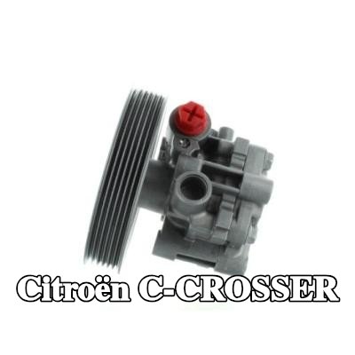 SPIDAN مضخة نظام التوجيه المعزز — Citroën C-crosser
