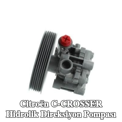 SPIDAN Hidrolik direksiyon pompası — Citroën C-crosser