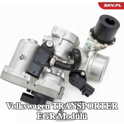 ESEN SKV Arka EGR Modülü, kendiliğinden kapanan — 2003 Volkswagen Transporter