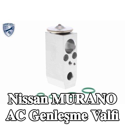 ACKOJA AC genleşme valfi — 2003 Nissan Murano