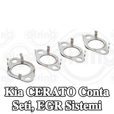 ELRING Conta seti, EGR sistemi — 2005 Kia Cerato