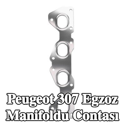 REINZ Egzoz manifoldu contası — Peugeot 307