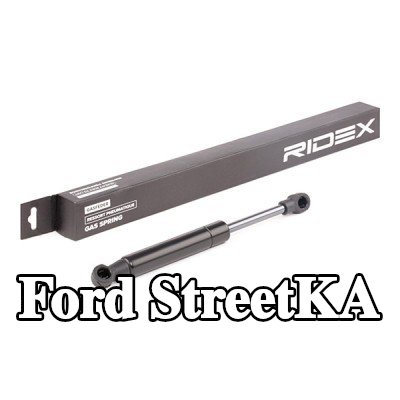 RIDEX دعامة الباب الخلفي 203mm — Ford StreetKA