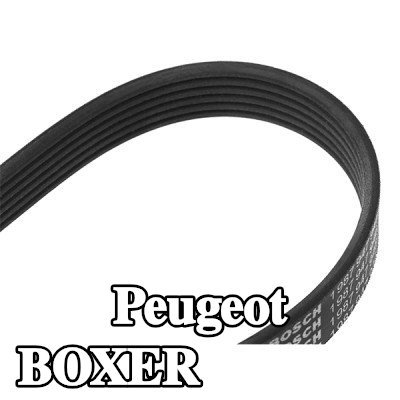 BOSCH حزام سيربنتين 1180mm, Number of ribs: 6 — 2002 Peugeot Boxer