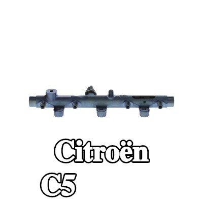 BOSCH قضيب الوقود — 2002 Citroën C5