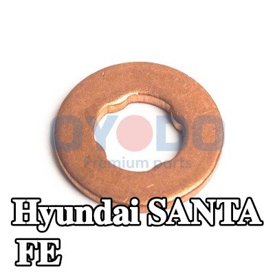 Oyodo واقي حراري، نظام الحقن — Hyundai Santa Fe