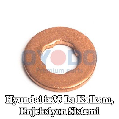 Oyodo Isı Kalkanı, enjeksiyon sistemi — 2009 Hyundai ix35