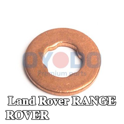 Oyodo واقي حراري، نظام الحقن — Land Rover Range Rover
