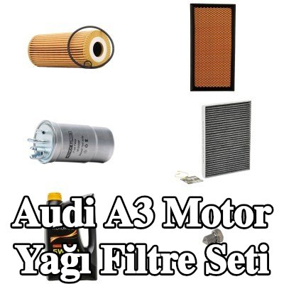 RIDEX PLUS Motor yağı filtre seti — 2000 Audi A3