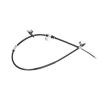 KAVO PARTS El freni kablosu 1535mm — 2000 Mitsubishi Pajero / Shogun Sport (4)