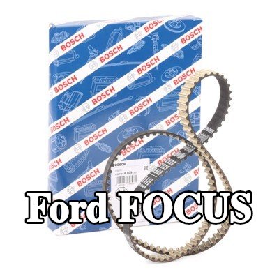 BOSCH عدد أسنان حزام التوقيت: 131, 1248mm — Ford Focus