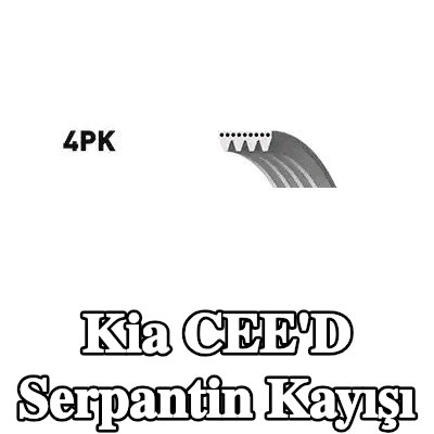 BOSCH Serpantin kayışı 856mm, Number of ribs: 4 — 2012 Kia Cee'd