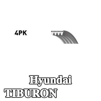 BOSCH حزام سيربنتين 856mm, Number of ribs: 4 — Hyundai Tiburon
