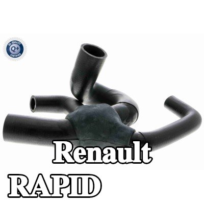 VAICO خرطوم المبرد جودة VAICO الأصلية, السفلي — 1990 Renault Rapid