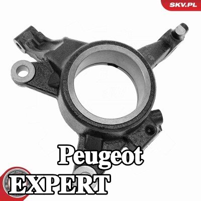 ESEN SKV مفصل التوجيه المحور الأمامي الأيسر — Peugeot Expert